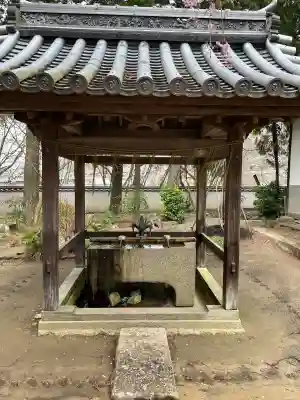 正楽寺の{uncategorized: "未分類", other: "その他", undefined: "問題あり", building: "その他建物", grave: "お墓", sacred_gate: "鳥居", guardian: "狛犬", statue: "像", buddha: "仏像", history: "歴史", nature: "自然", garden: "庭園", animal: "動物", pagoda: "塔", temizu: "手水舎", mountain_gate: "山門・神門", sanctuary: "本殿・本堂", subordinate: "末社・摂社", art: "芸術", scenery: "景色", jizo: "地蔵", ema: "絵馬", goshuin: "御朱印", omikuji: "おみくじ", items: "授与品その他", amulet: "お守り", goshuincho: "御朱印帳", eats: "食事", festival: "お祭り", votive_dance: "神楽", shichigosan: "七五三参", wedding: "結婚式", experience: "体験その他", initially: "初詣", around: "周辺", anti_infection: "感染症対策"}