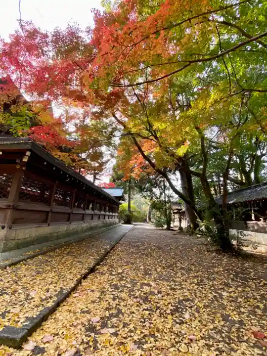 御霊神社(上御霊神社)(京都府)