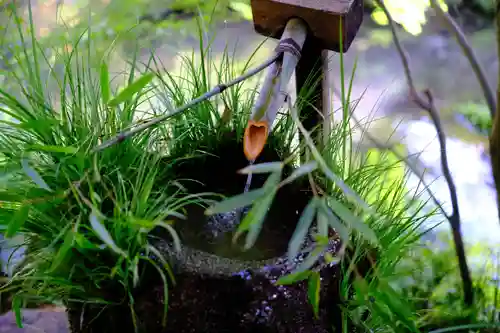 三千院門跡(京都府)