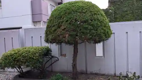 恵比須神社の自然