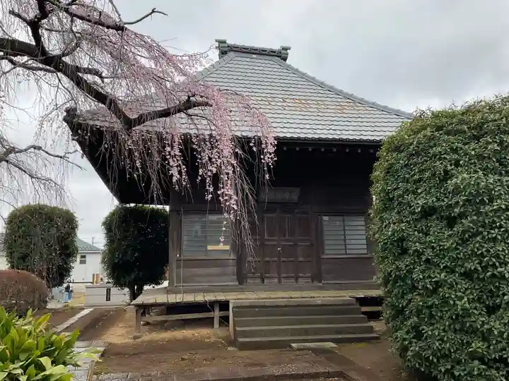 圓藏院(埼玉県)