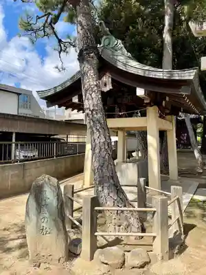 柴又八幡神社(東京都)