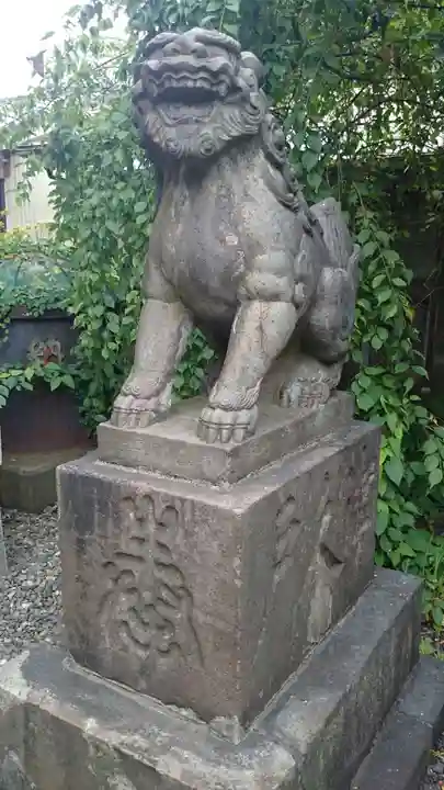 筑土八幡神社の狛犬