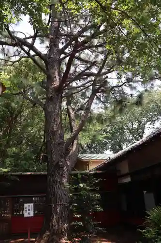 前原御嶽神社のその他建物