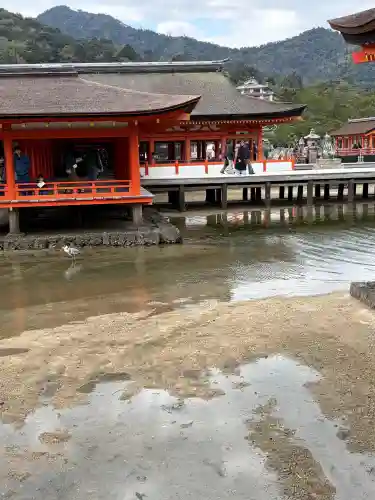 厳島神社(広島県)