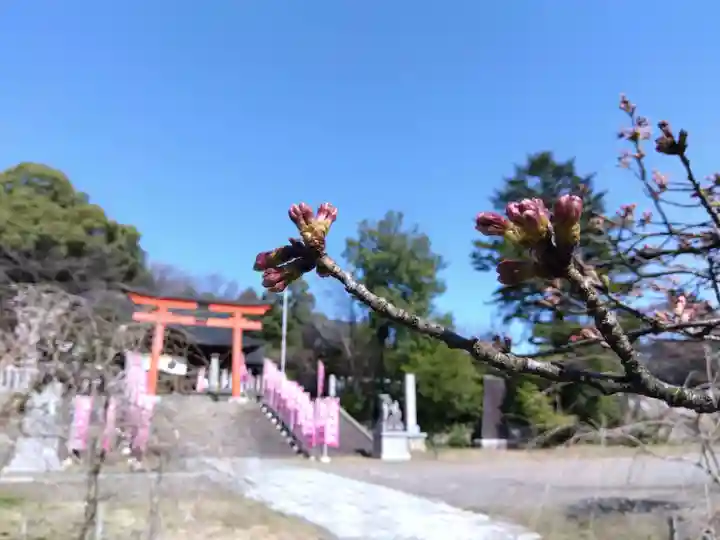 藤島神社(贈正一位新田義貞公之大宮)(福井県)