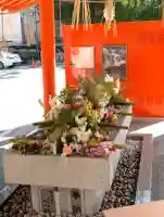 生田神社の{uncategorized: "未分類", other: "その他", undefined: "問題あり", building: "その他建物", grave: "お墓", sacred_gate: "鳥居", guardian: "狛犬", statue: "像", buddha: "仏像", history: "歴史", nature: "自然", garden: "庭園", animal: "動物", pagoda: "塔", temizu: "手水舎", mountain_gate: "山門・神門", sanctuary: "本殿・本堂", subordinate: "末社・摂社", art: "芸術", scenery: "景色", jizo: "地蔵", ema: "絵馬", goshuin: "御朱印", omikuji: "おみくじ", items: "授与品その他", amulet: "お守り", goshuincho: "御朱印帳", eats: "食事", festival: "お祭り", votive_dance: "神楽", shichigosan: "七五三参", wedding: "結婚式", experience: "体験その他", initially: "初詣", around: "周辺", anti_infection: "感染症対策"}