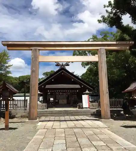 和泉國一之宮　大鳥大社の鳥居