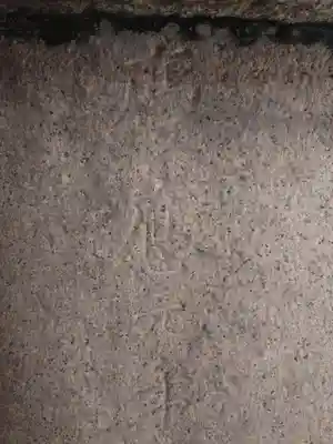 福應神社(兵庫県)