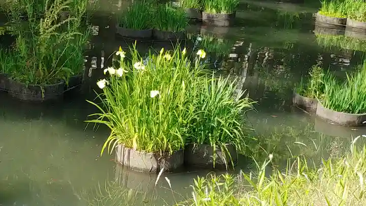 香椎宮(福岡県)