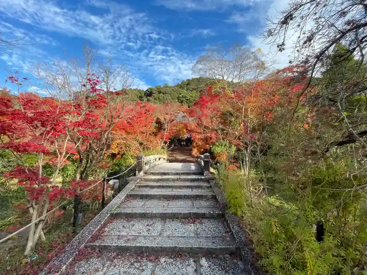 禅林寺(永観堂)(京都府)