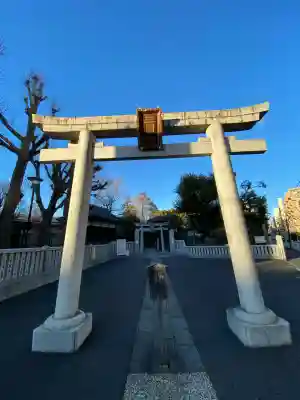 三囲神社の{uncategorized: "未分類", other: "その他", undefined: "問題あり", building: "その他建物", grave: "お墓", sacred_gate: "鳥居", guardian: "狛犬", statue: "像", buddha: "仏像", history: "歴史", nature: "自然", garden: "庭園", animal: "動物", pagoda: "塔", temizu: "手水舎", mountain_gate: "山門・神門", sanctuary: "本殿・本堂", subordinate: "末社・摂社", art: "芸術", scenery: "景色", jizo: "地蔵", ema: "絵馬", goshuin: "御朱印", omikuji: "おみくじ", items: "授与品その他", amulet: "お守り", goshuincho: "御朱印帳", eats: "食事", festival: "お祭り", votive_dance: "神楽", shichigosan: "七五三参", wedding: "結婚式", experience: "体験その他", initially: "初詣", around: "周辺", anti_infection: "感染症対策"}