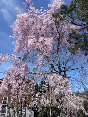 慈眼寺(京都府)