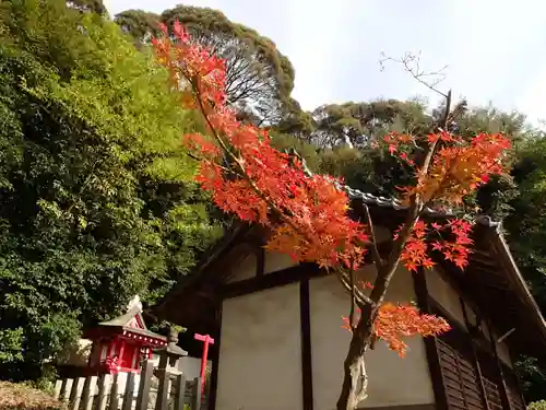 御櫛神社の本殿