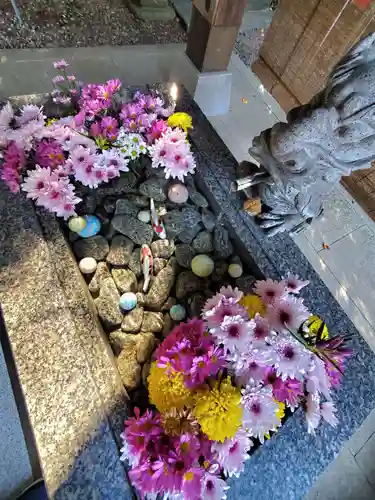 滑川神社 - 仕事と子どもの守り神の手水舎