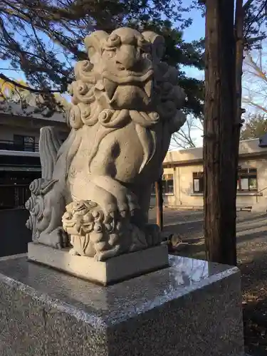 新琴似神社の狛犬