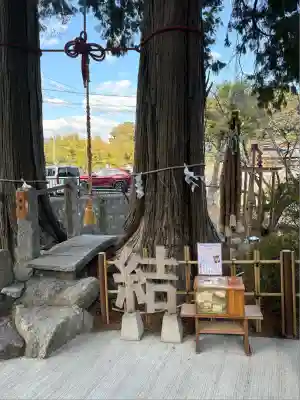 武雄神社(佐賀県)