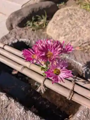 龍泉院(東京都)