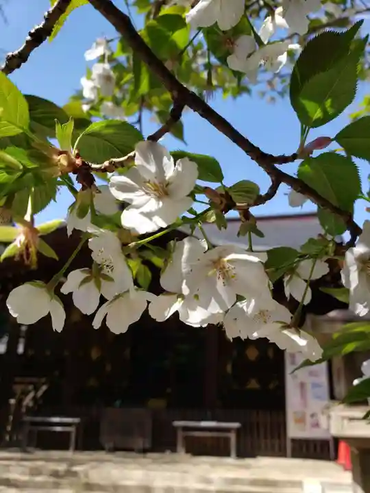 渋谷氷川神社(東京都)