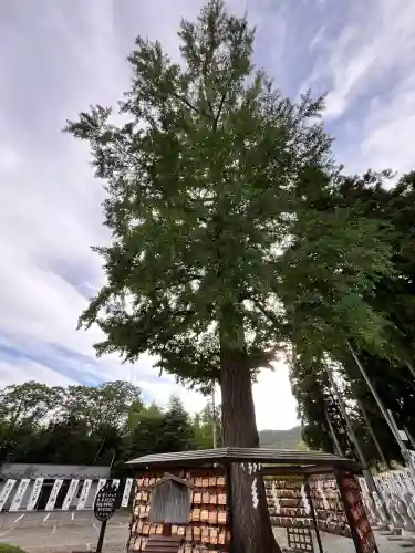 秋保神社(宮城県)