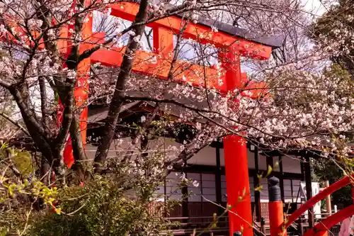 賀茂御祖神社（下鴨神社）の鳥居