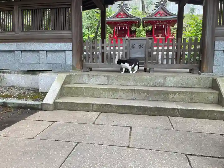 白金氷川神社の御朱印