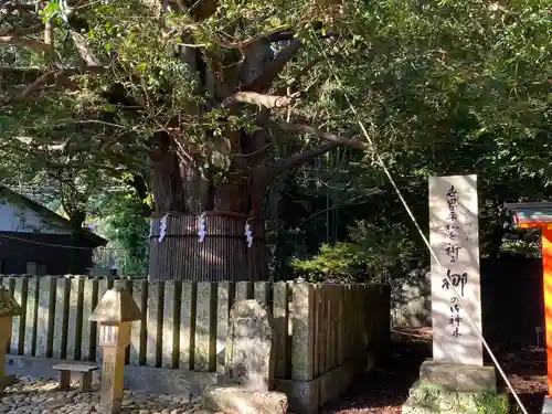 熊野速玉大社(和歌山県)