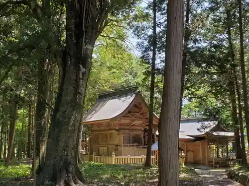 三輪神社の本殿・本堂