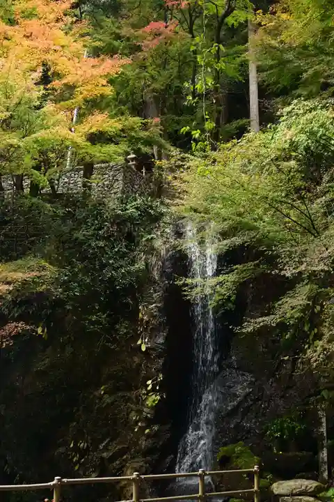 星谷寺(徳島県)