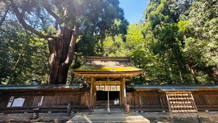 若狭姫神社(若狭彦神社下社)(福井県)