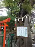 新田神社(東京都)