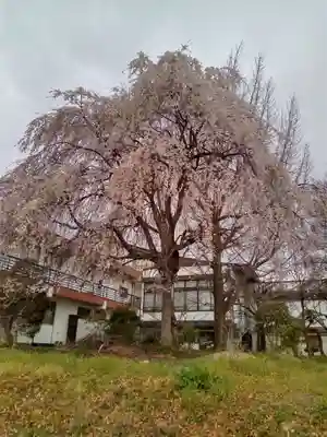 大安寺(宮城県)