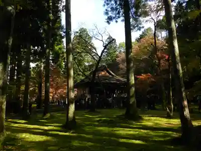 三千院門跡(京都府)