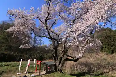 宇賀神さまの庭園