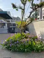 極楽寺(兵庫県)