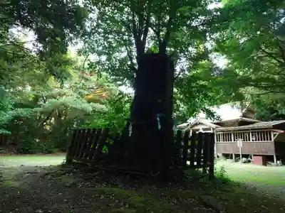 大元神社（宇佐神宮奥宮）(大分県)