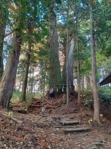 戸隠神社火之御子社(長野県)