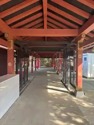 大杉神社(茨城県)