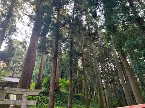 大宮温泉神社(栃木県)