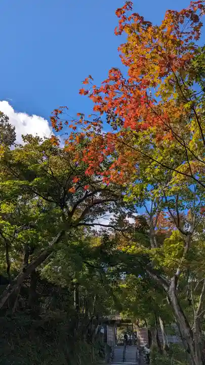 化野念仏寺(京都府)