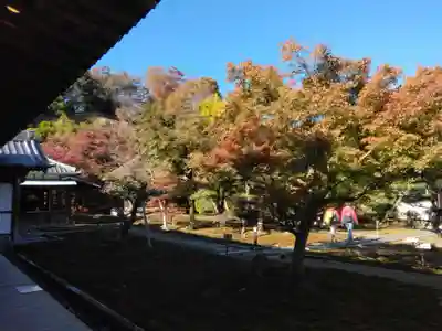 長壽寺（長寿寺）(神奈川県)