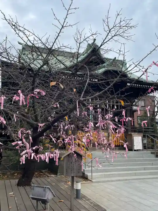 桜神宮(東京都)