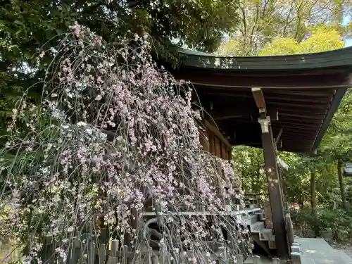 武蔵一宮氷川神社の{uncategorized: "未分類", other: "その他", undefined: "問題あり", building: "その他建物", grave: "お墓", sacred_gate: "鳥居", guardian: "狛犬", statue: "像", buddha: "仏像", history: "歴史", nature: "自然", garden: "庭園", animal: "動物", pagoda: "塔", temizu: "手水舎", mountain_gate: "山門・神門", sanctuary: "本殿・本堂", subordinate: "末社・摂社", art: "芸術", scenery: "景色", jizo: "地蔵", ema: "絵馬", goshuin: "御朱印", omikuji: "おみくじ", items: "授与品その他", amulet: "お守り", goshuincho: "御朱印帳", eats: "食事", festival: "お祭り", votive_dance: "神楽", shichigosan: "七五三参", wedding: "結婚式", experience: "体験その他", initially: "初詣", around: "周辺", anti_infection: "感染症対策"}