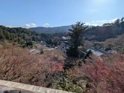 長谷寺(奈良県)