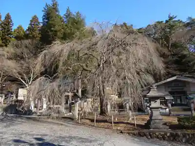 南湖神社(福島県)