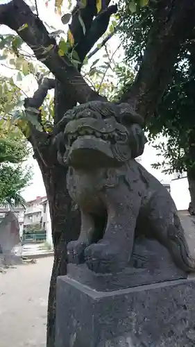 高石神社の狛犬