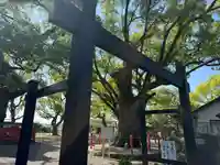 美奈宜神社(福岡県)