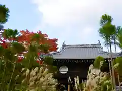 源光庵(京都府)