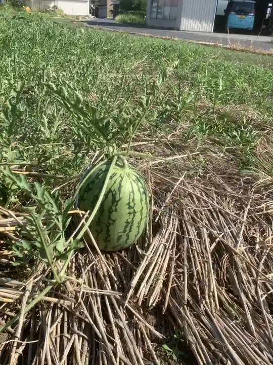 八幡神社(岐阜県)
