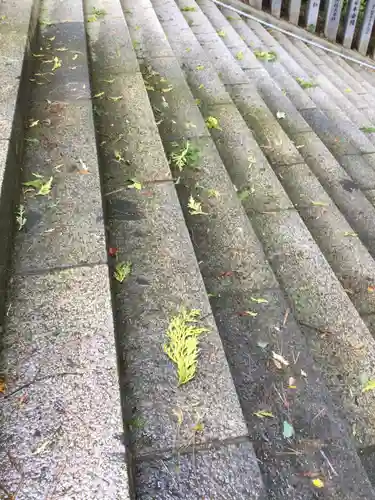 函館八幡宮の庭園